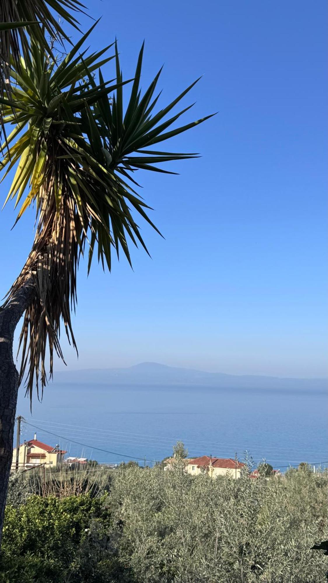 Verga Apartments & Suites Kalamata Exterior photo