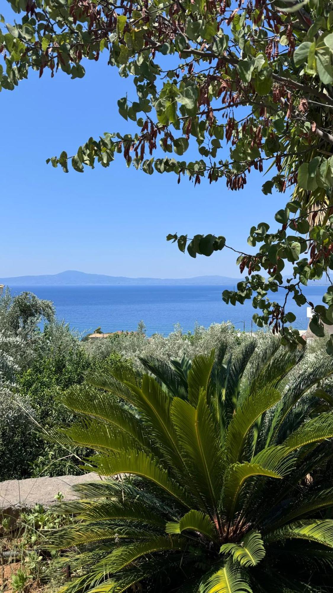 Verga Apartments & Suites Kalamata Exterior photo